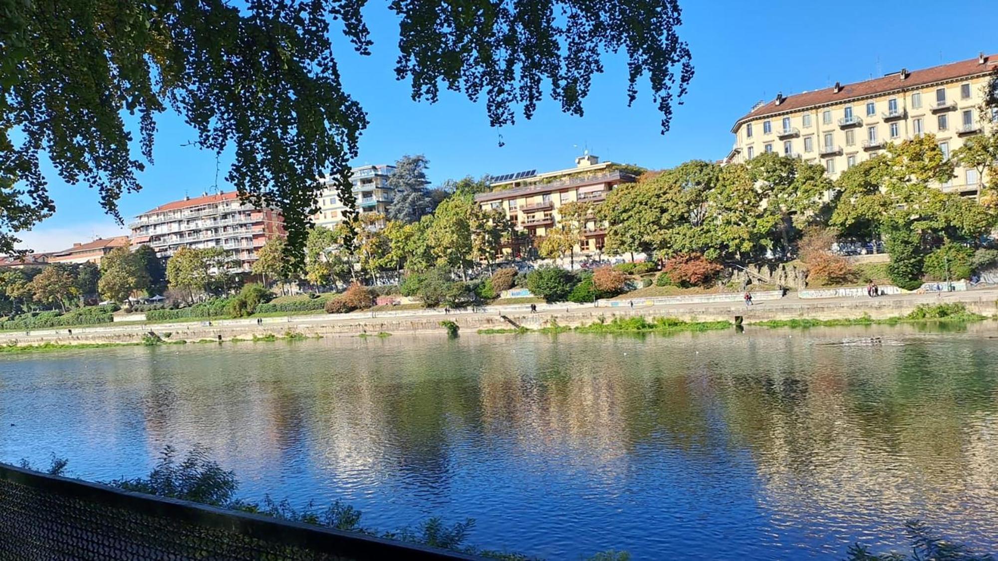 La Terrazzina, Silenzioso, Zona Piazza Gran Madre Διαμέρισμα Τορίνο Εξωτερικό φωτογραφία
