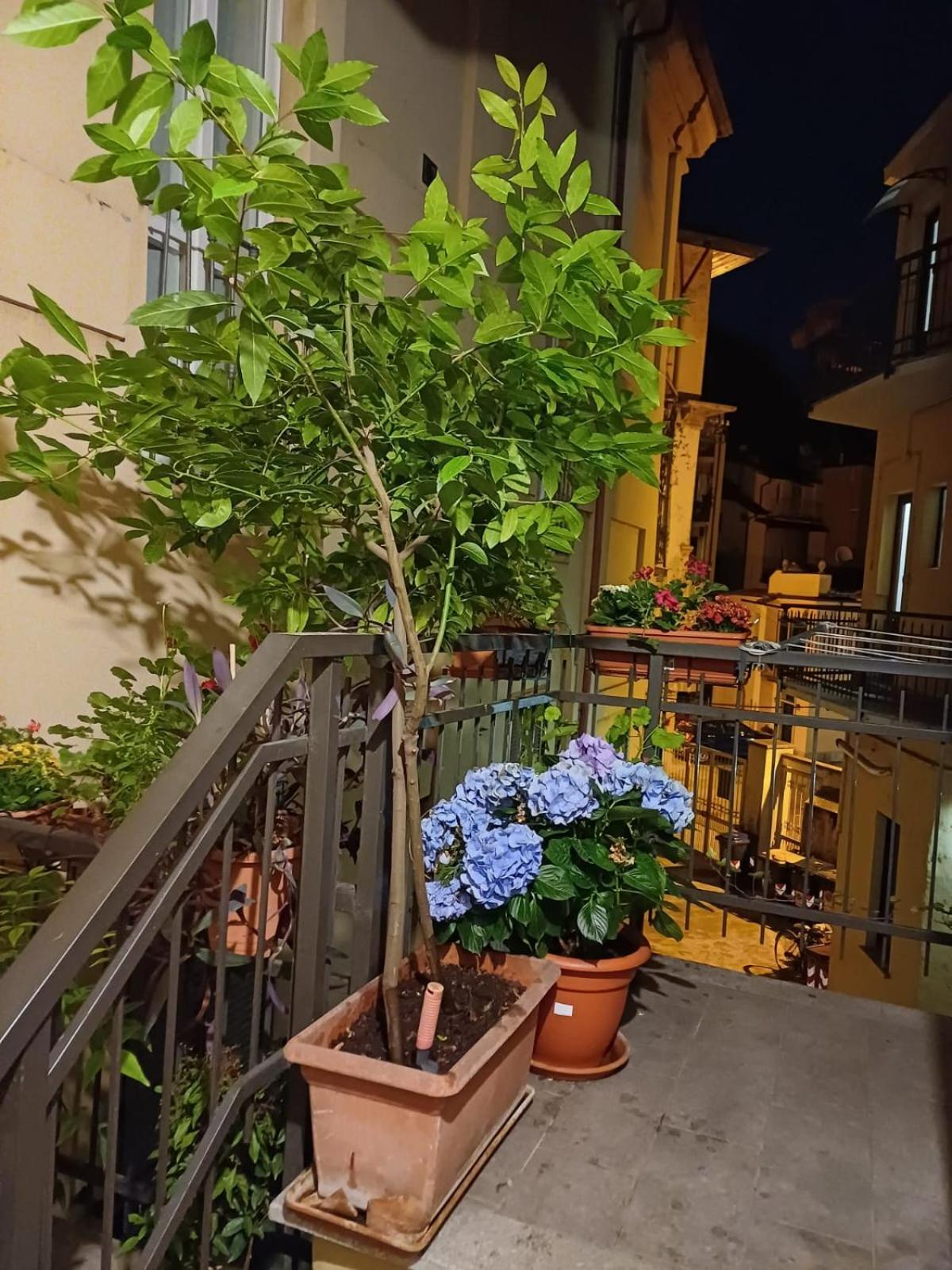 La Terrazzina, Silenzioso, Zona Piazza Gran Madre Διαμέρισμα Τορίνο Εξωτερικό φωτογραφία